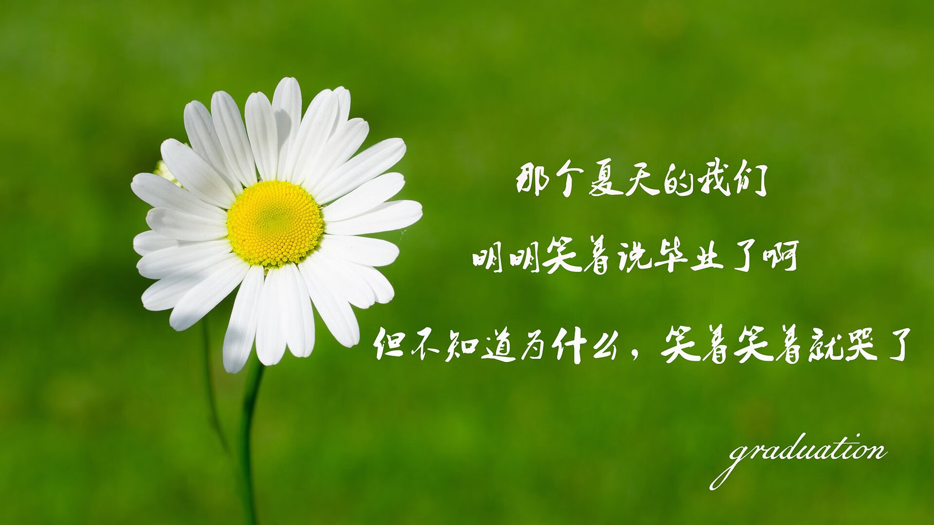 季后赛历史：库里在“决胜局”投中关键三分，帮助勇士逆转取胜！