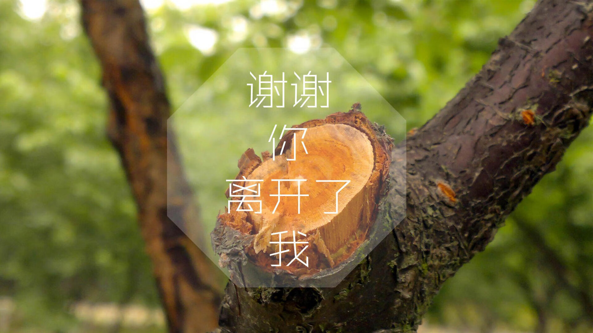 国足后场组织方式对比评估，国足的后防线