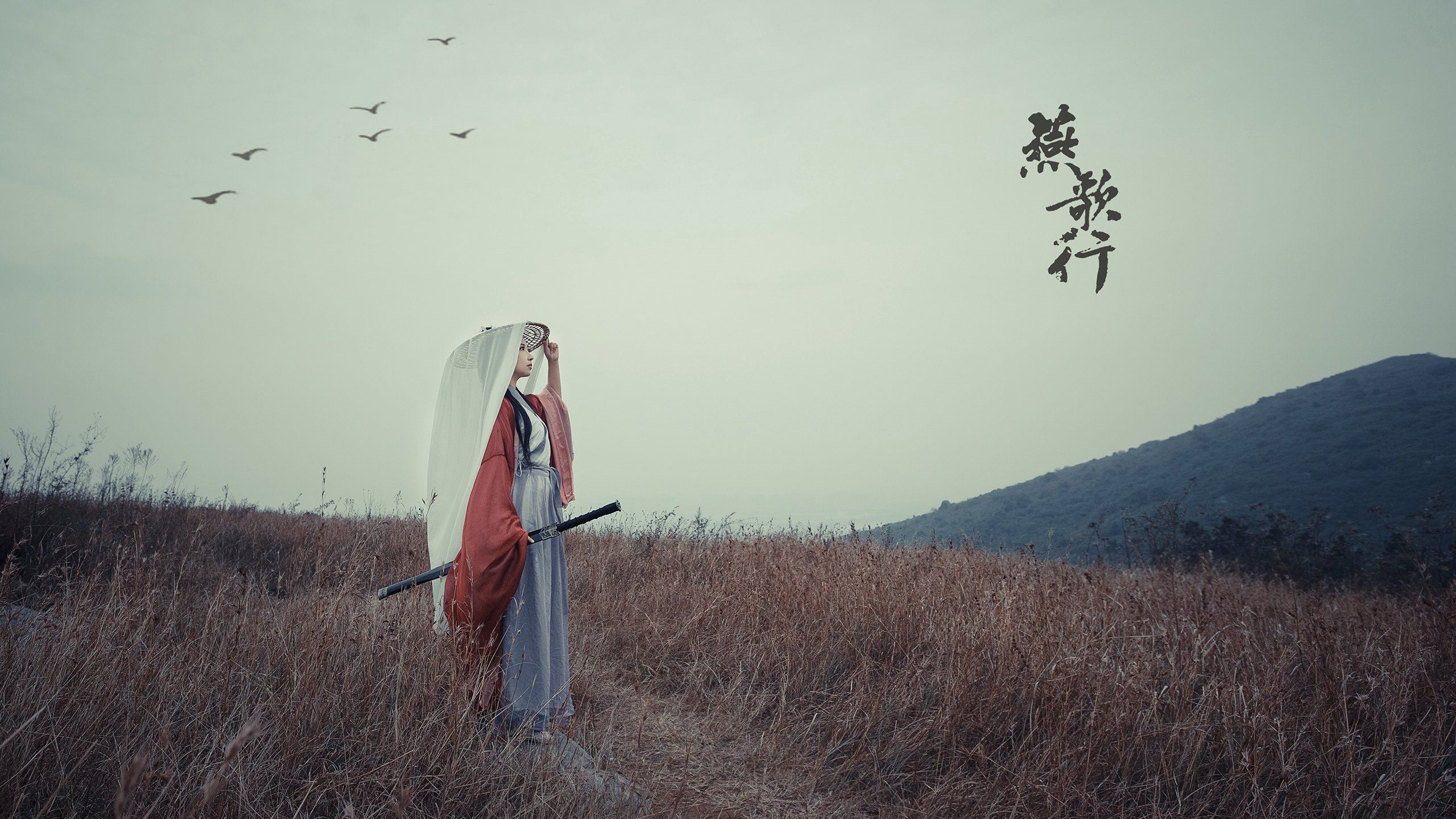 体育新闻中心推动城市体育内容传播联盟建设,体育行业新闻