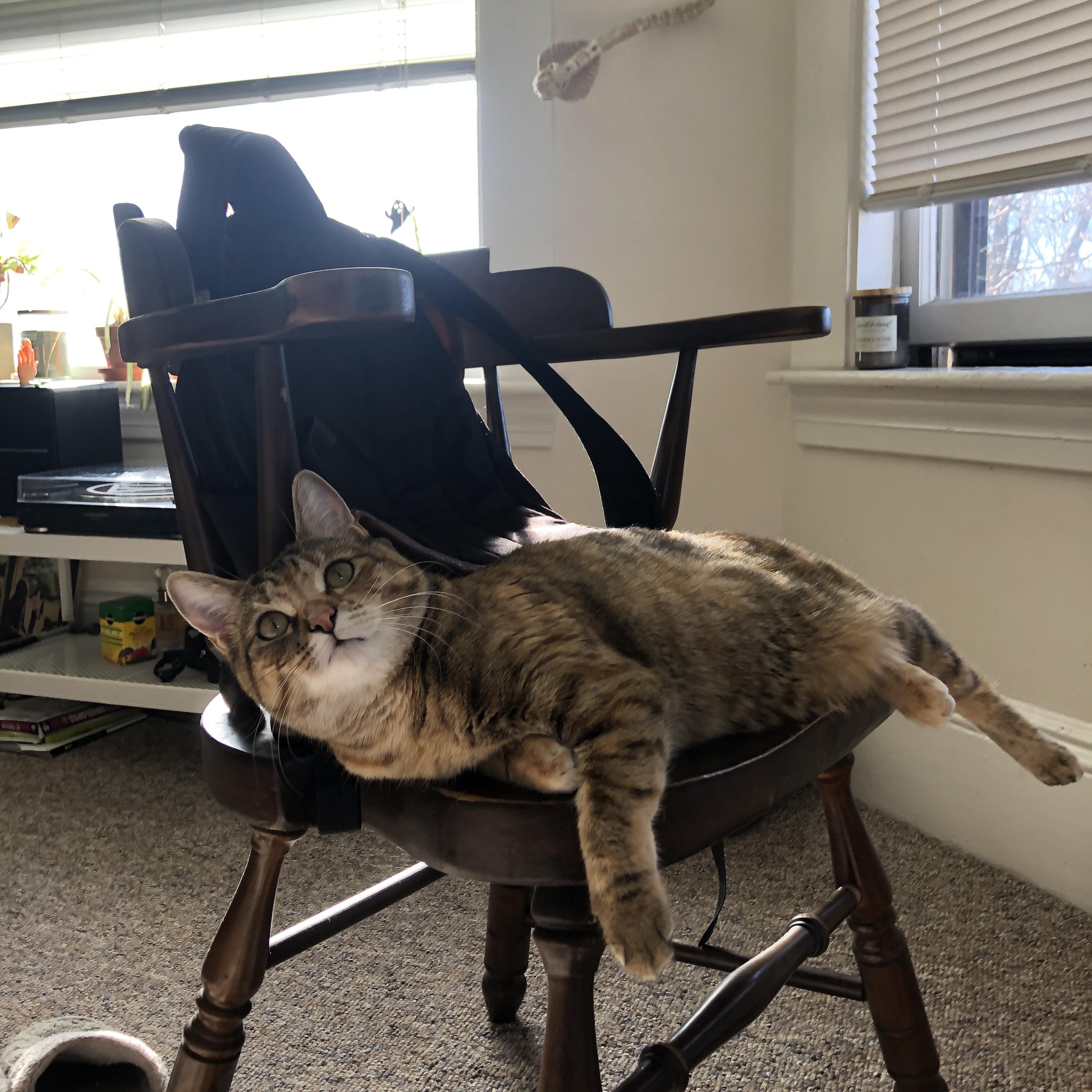 凯恩续约谈判推进,拜仁锋线稳定可期,凯恩 转会