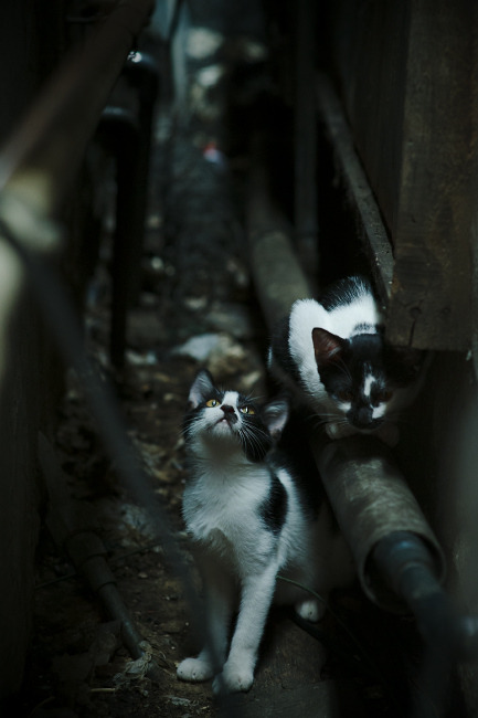 LeyuSports-印度队未来的关键：如何培养具备国际竞争力的年轻球员，印度队伍