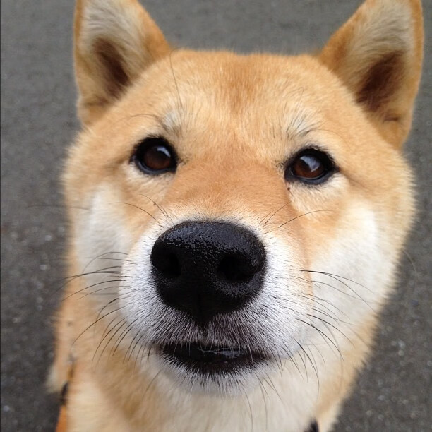 leyu乐鱼官网登录入口-比赛现场观众热力图系统上线测试