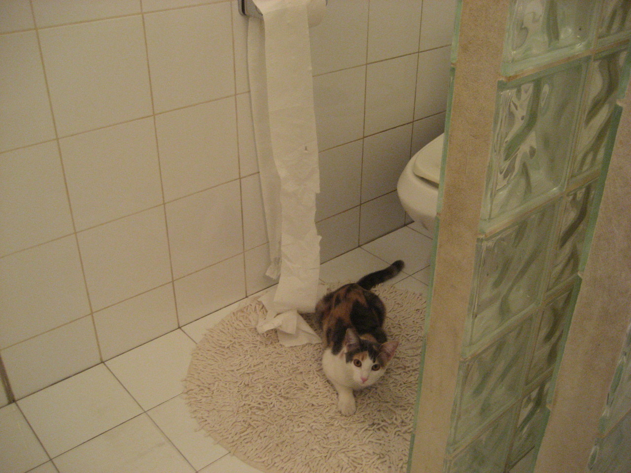 leyu乐鱼体育综合-欧洲杯激战正酣：策略变阵，引领潮流，欧洲杯z