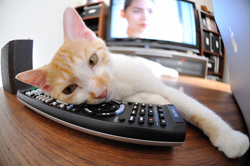 APP下载 LY Sports-温斯坦力拼奖牌位列前排，温斯坦莱的主要思想