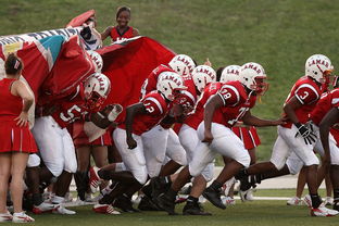 下载乐鱼体育APP-球迷助威声点燃比赛氛围，球迷助威口号