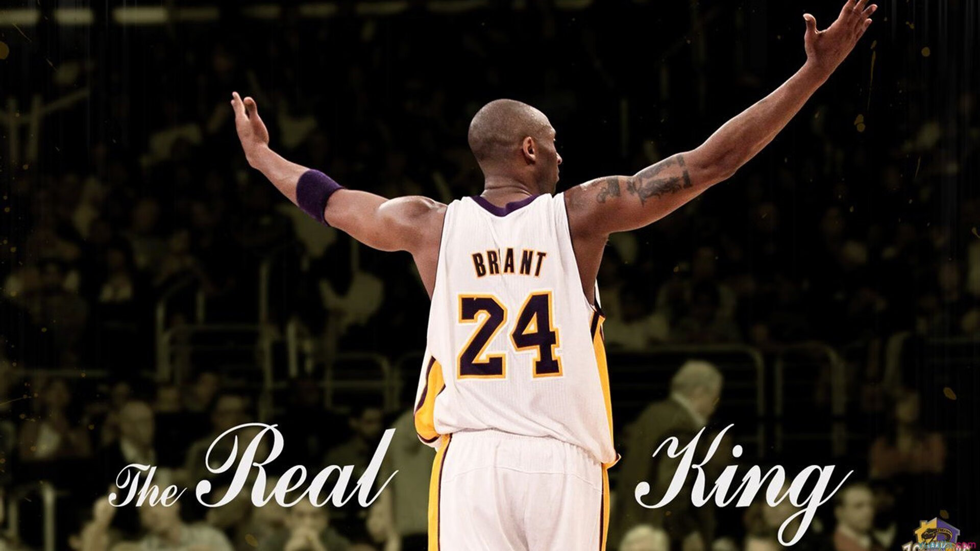 乐鱼体育-_勇士队团队合作再升级,战斗力提升_,勇士队伍