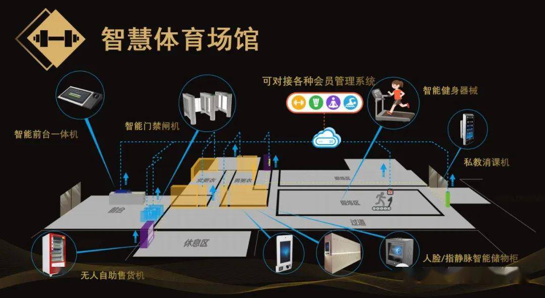 关于体育场馆改建计划：提升观赛体验与功能。的信息