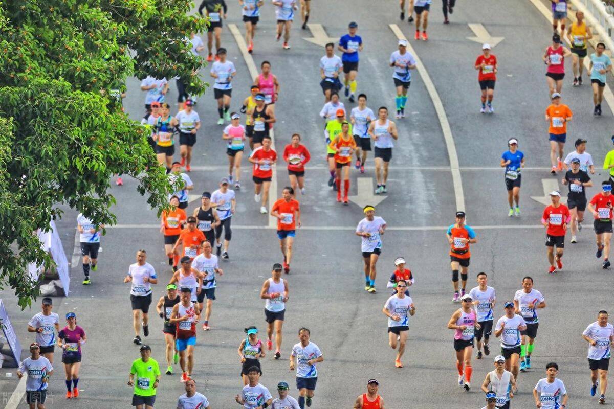 乐鱼（中国）体育官方网站-城市马拉松热潮：如何打造更好的赛事体验。的简单介绍