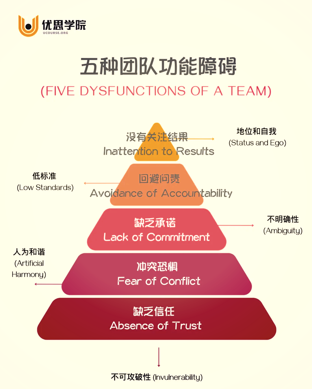 比赛中的团队协作，如何优化战术与配合。